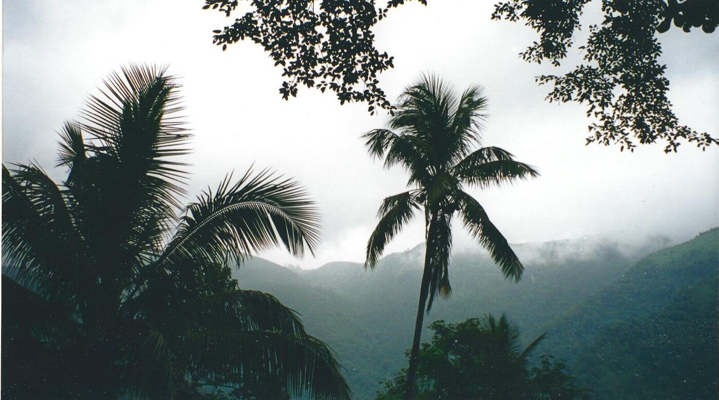 Région SAVA Madagascar — origine de nos vanilles